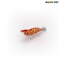 스퀴드토이 크러쉬 리얼새우에기 미티 8cm  [#2 10개포장]